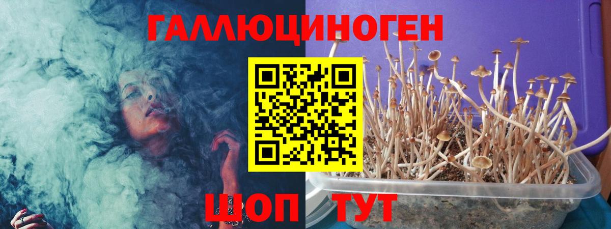 Галлюциногенные грибы мухоморы  Вход с VPN  Мытищи 