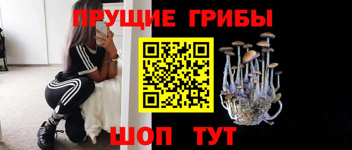 Галлюциногенные грибы Magic Shrooms Мытищи